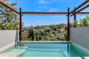 Pool - Studio Apartment 'Studio Yvonne' with Private Pool, Wi-Fi and Air Conditioning (Meganisi)