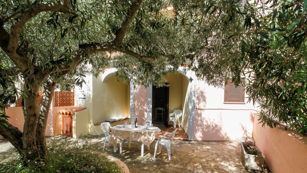 Ein Innenhof mit Tisch, Stühlen, einem Blumentopf und einem Baum, der Schatten spendet.