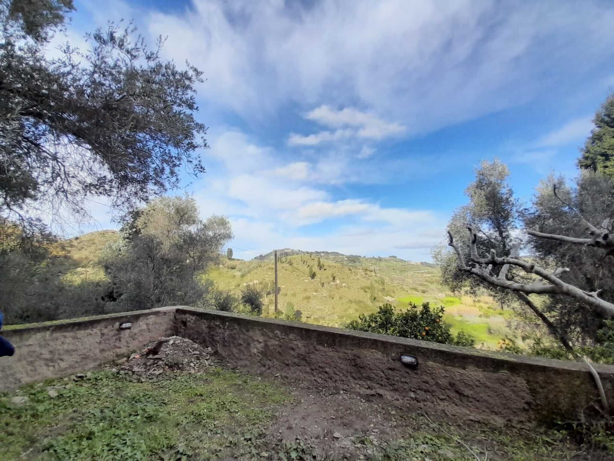 Un paisaje con un sendero de tierra, árboles y una colina a lo lejos.