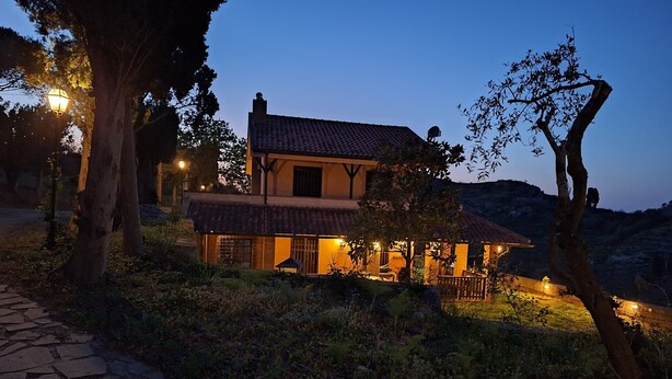 A house with a tiled roof, a stone pathway, and a garden area.
