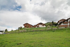 Un entorno rural con casas de madera tradicionales en una ladera, un viñedo y un cielo despejado.