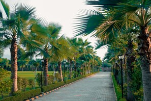 المنشأة من الخارج