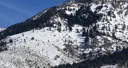 Valley View Mountain Getaway! Four Seasons of Fun!