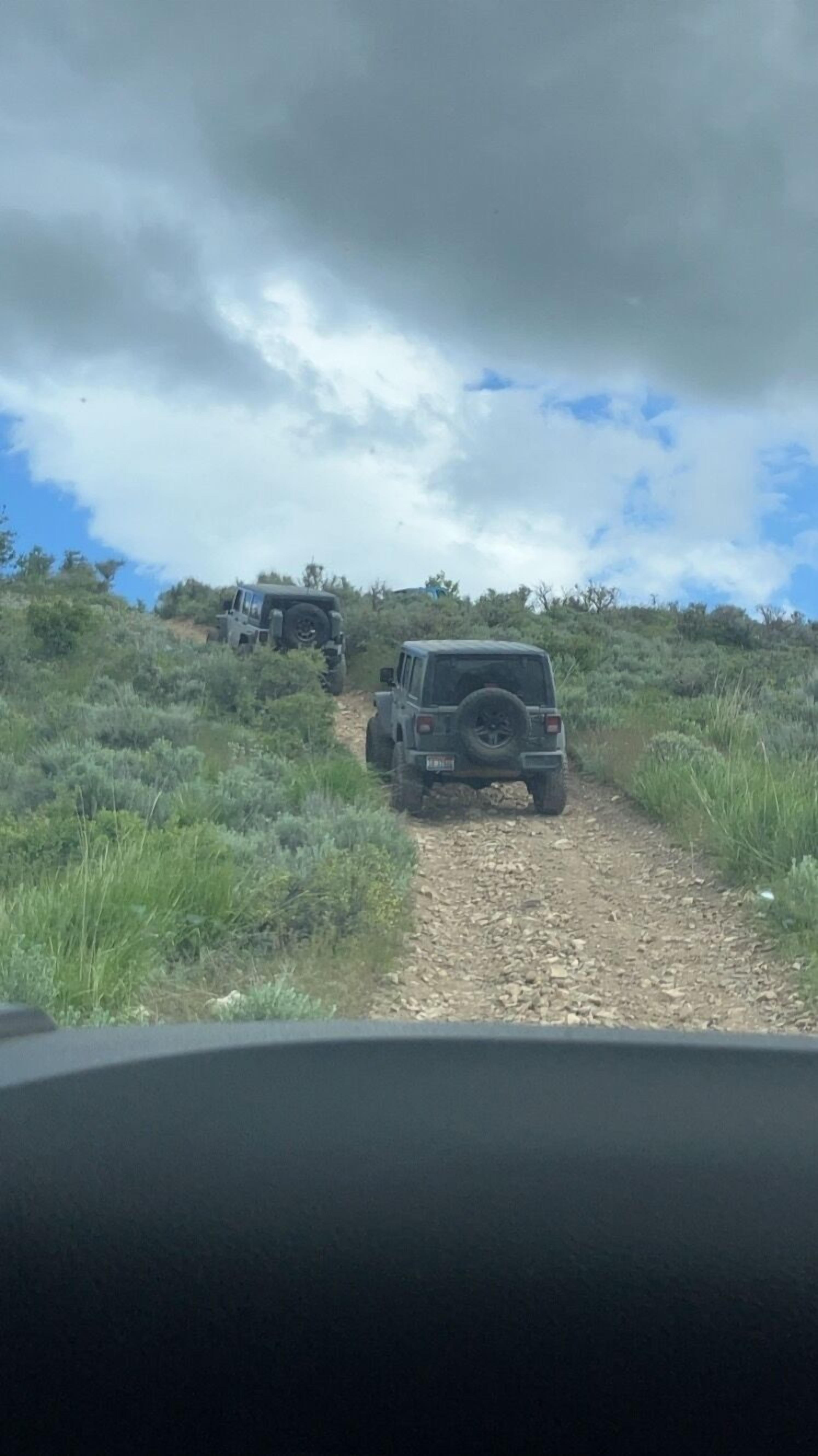 A vehicle on a dirt path surrounded by greenery.