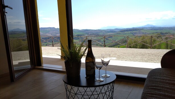 Une pièce avec vue sur un vignoble, une table avec une bouteille et des verres, et une plante en pot.
