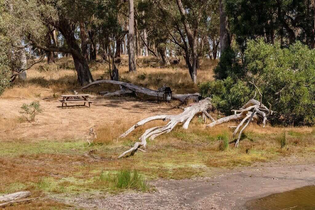 Eine natürliche Landschaft mit einem Picknicktisch und einem umgestürzten Baum.