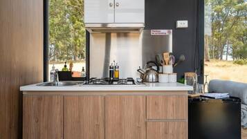 Fridge, stovetop, cookware/dishes/utensils