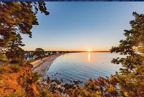 Tumbonas y toallas de playa