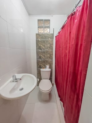 Shower, hair dryer