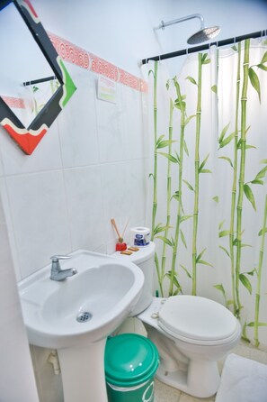 Shower, hair dryer