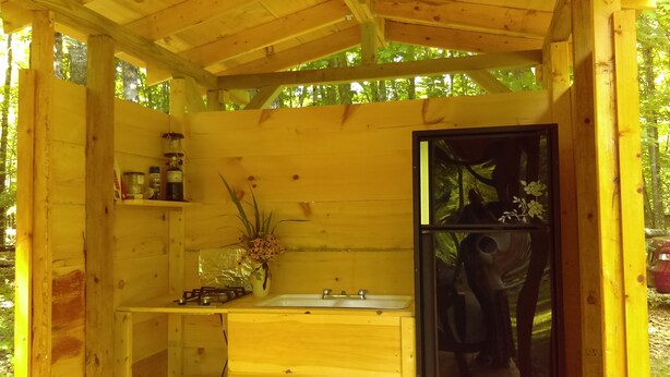 En træhytte med et lille badeværelse, der har en vask, et spejl og en hylde med toiletartikler.