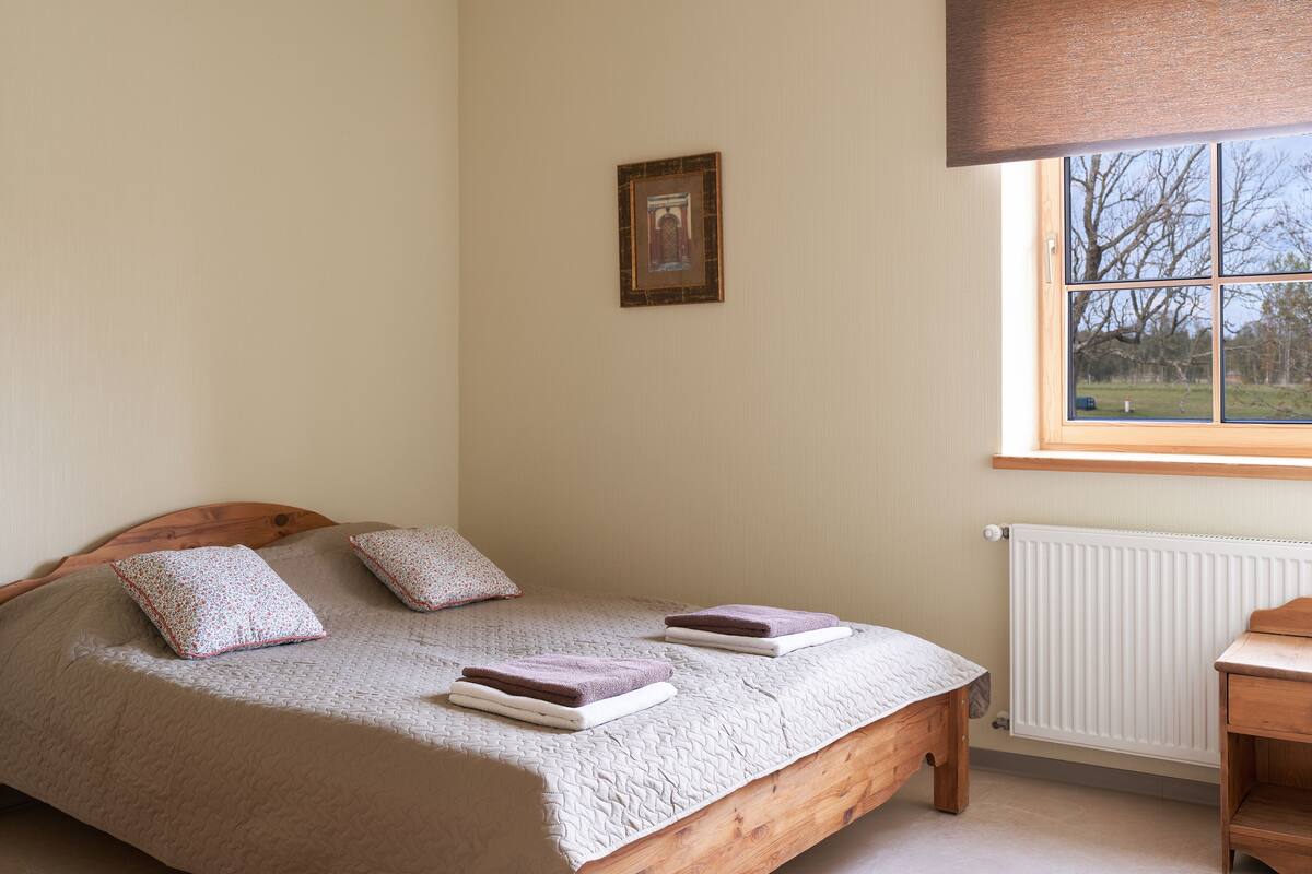 A bedroom with a wooden bed, two pillows, a bedside table, a window with a view of trees, and a radiator.