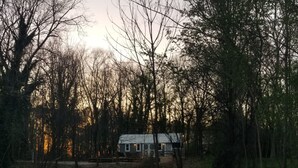 Une cabane entourée d’une forêt dense, offrant une vue dégagée sur le ciel.