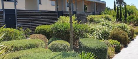 Terrein van de accommodatie