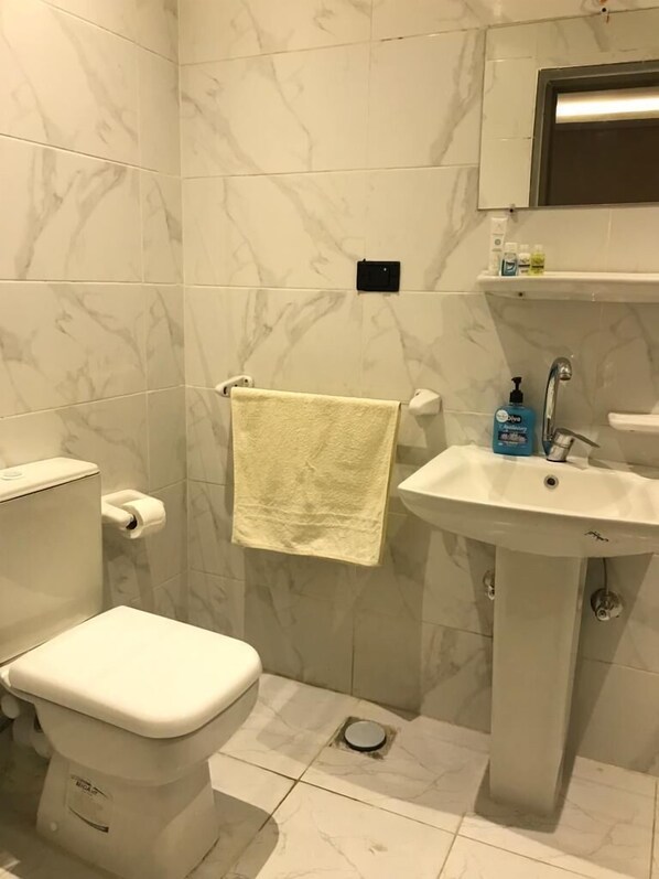 A bathroom with a toilet, sink, and marble tiles. - Golden Hoster (Alexandria)