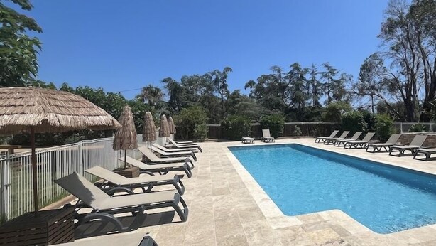 Une piscine entourée d’arbres, avec des chaises longues et des parasols, sous un ciel dégagé.