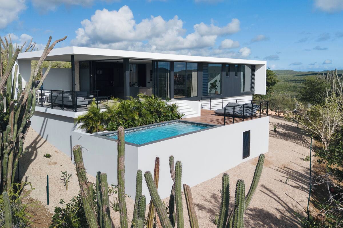 A modern house with a pool, surrounded by cacti.