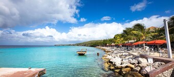 Coral Estate Holidays翻译为: 珊瑚庄园假日