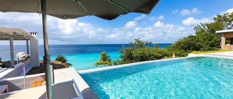 A clear blue pool with a view of the ocean, surrounded by greenery and a covered seating area.