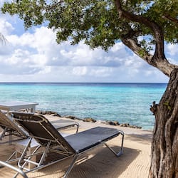 On the beach, beach bar