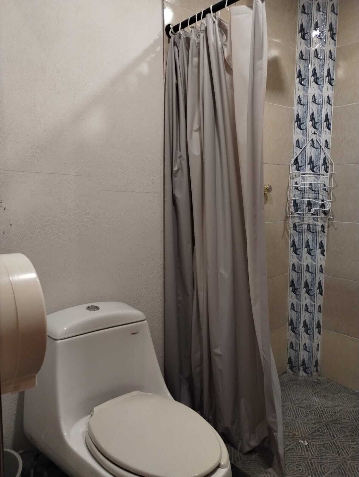 A bathroom with a toilet, a shower curtain, and a patterned wall.