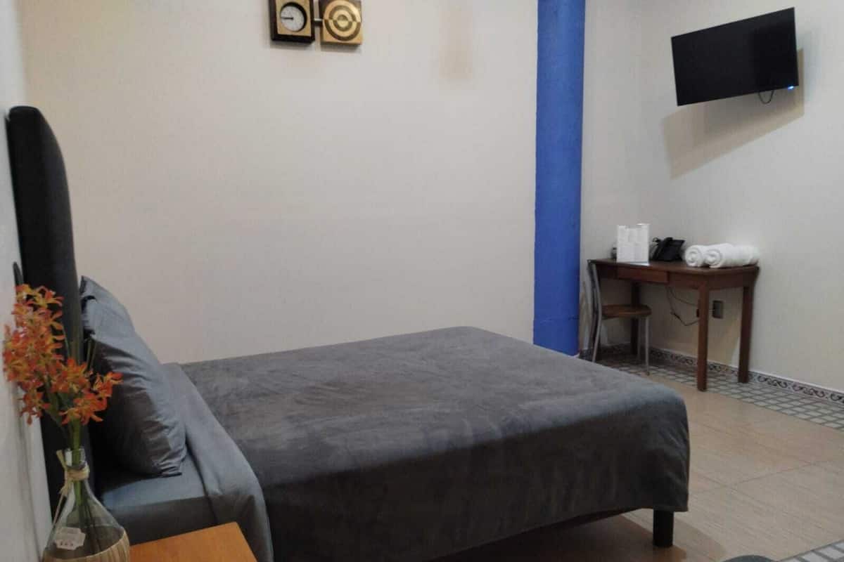A hotel room with a bed, a desk, a chair, a TV mounted on the wall, and a vase with flowers on the side table.
