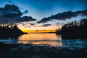 Surrounded by dense forest, this lakeside retreat offers a serene atmosphere.