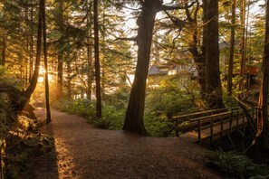 Property grounds - Ocean Views from 2 Decks! Beachfront ⎮ Amphitrite (Ucluelet)
