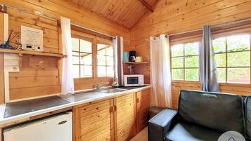 Fridge, microwave, oven, coffee/tea maker