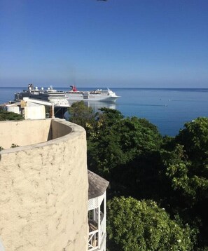 A view of a cruise ship docked at a port with a clear blue sky and lush greenery in the foreground.