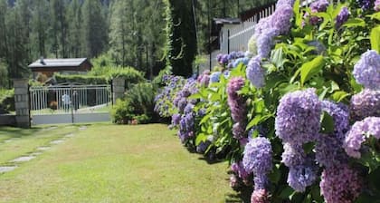 Villa Egle - Two-room apartment