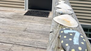 Una terraza de madera con un felpudo, una puerta y una hilera de conchas marinas.