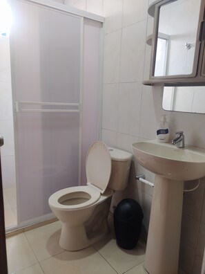 Dusche, Handtücher, Seife, Toilettenpapier