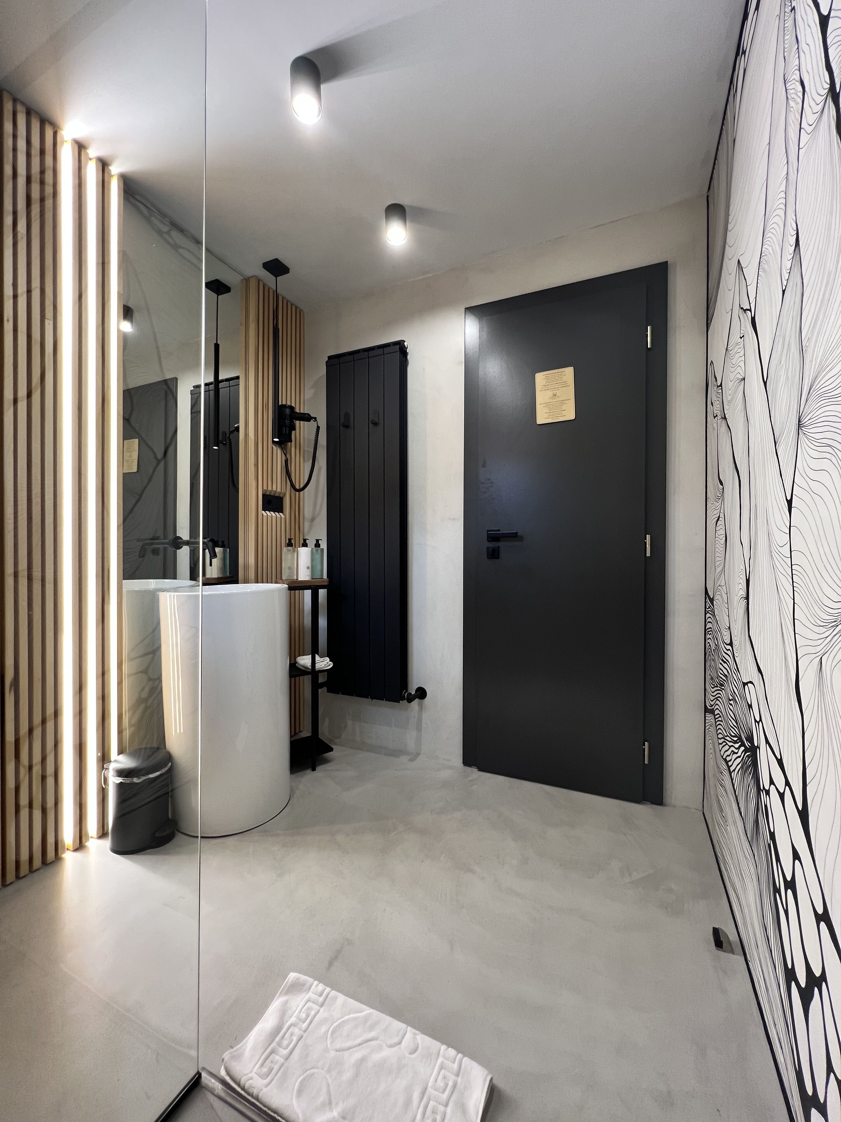 Une salle de bain moderne avec un grand miroir, un meuble noir, un espace douche et une porte noire.