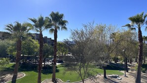 A landscaped area with palm trees, a grassy lawn, and a paved walkway.