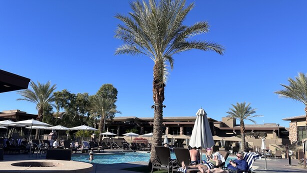 A poolside area with lounge chairs, umbrellas, and a palm tree.