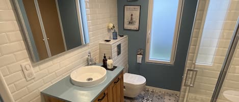 Shower, hair dryer, towels, soap