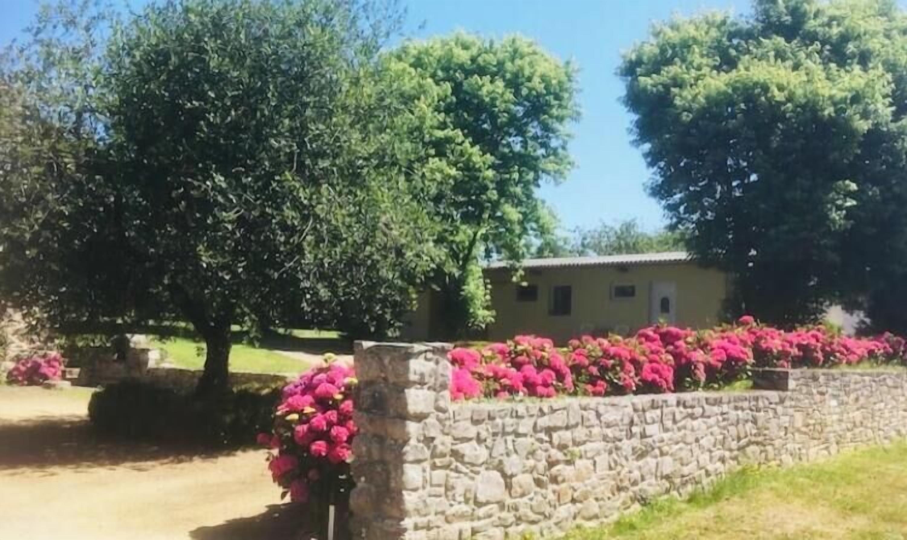 A stone wall with pink flowers, a yellow building, and trees in a sunny outdoor setting.