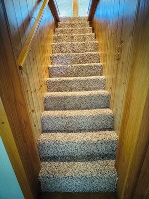 Una escalera interior de madera con peldaños alfombrados que conducen a un tragaluz.