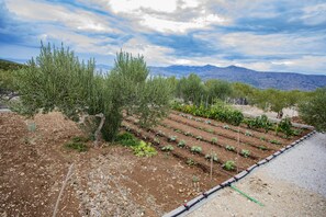 Property grounds - Holiday house with heated pool,  for a peaceful and pleasant rest (Pucišca)