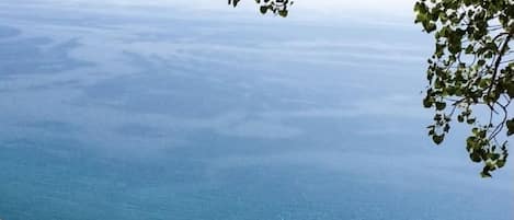 海滩