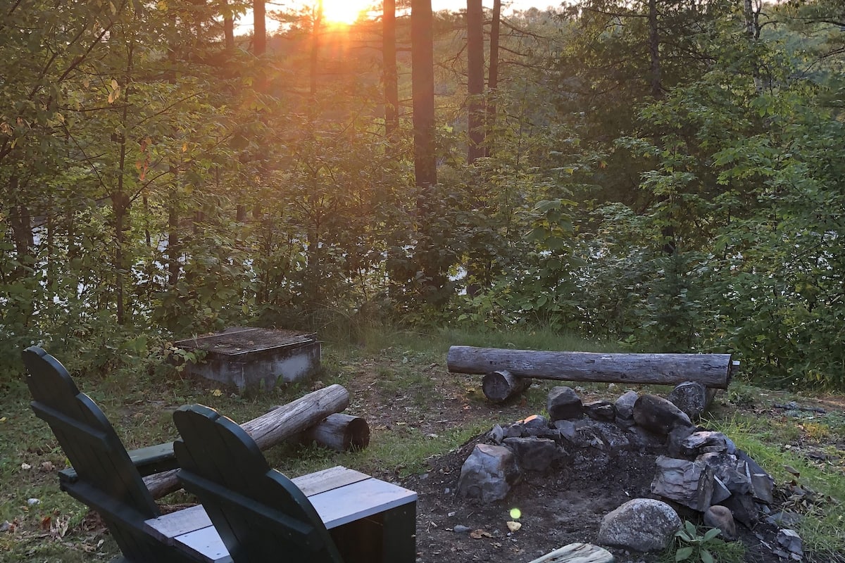 A forested campsite with a wooden bench and a fire pit.