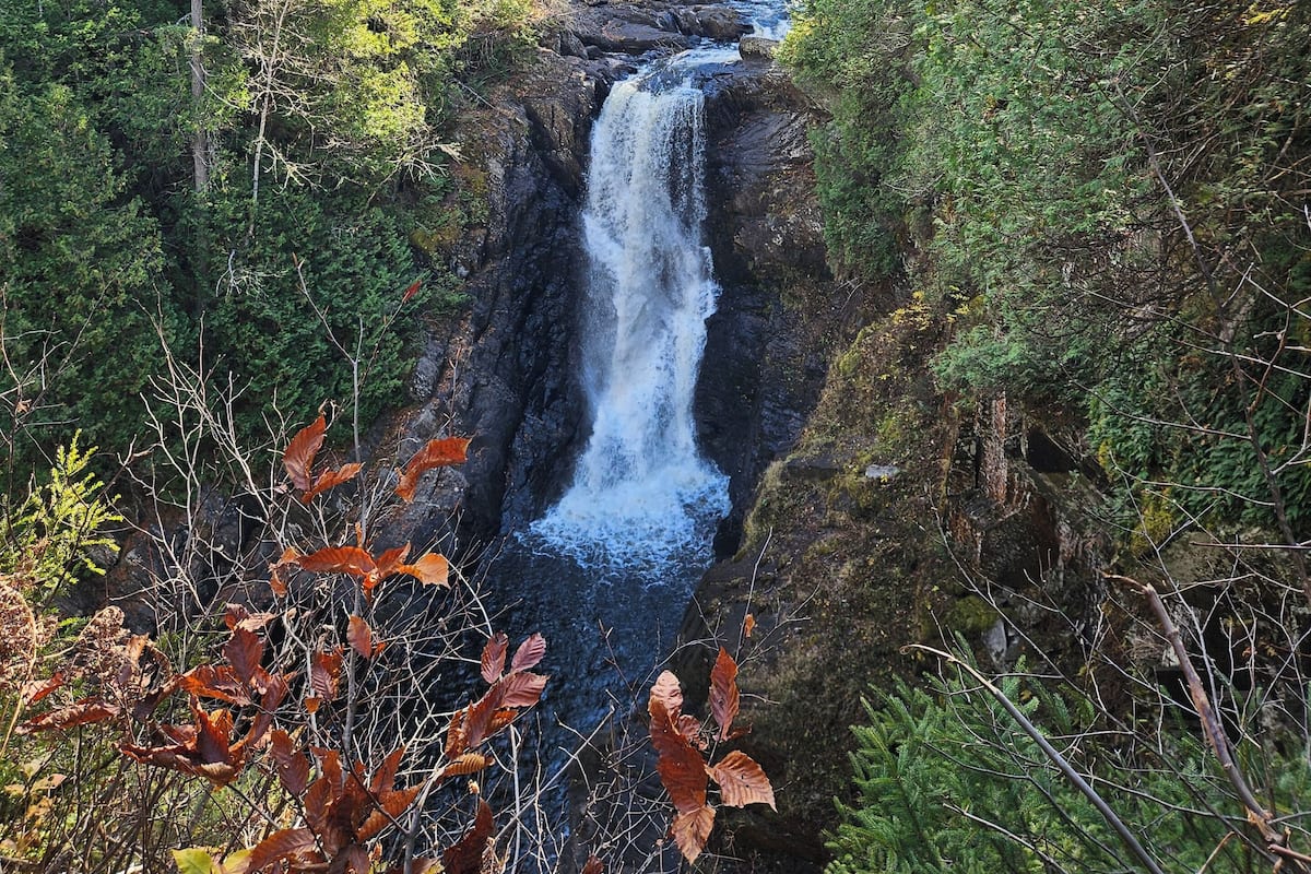 A waterfall surrounded by dense forest.