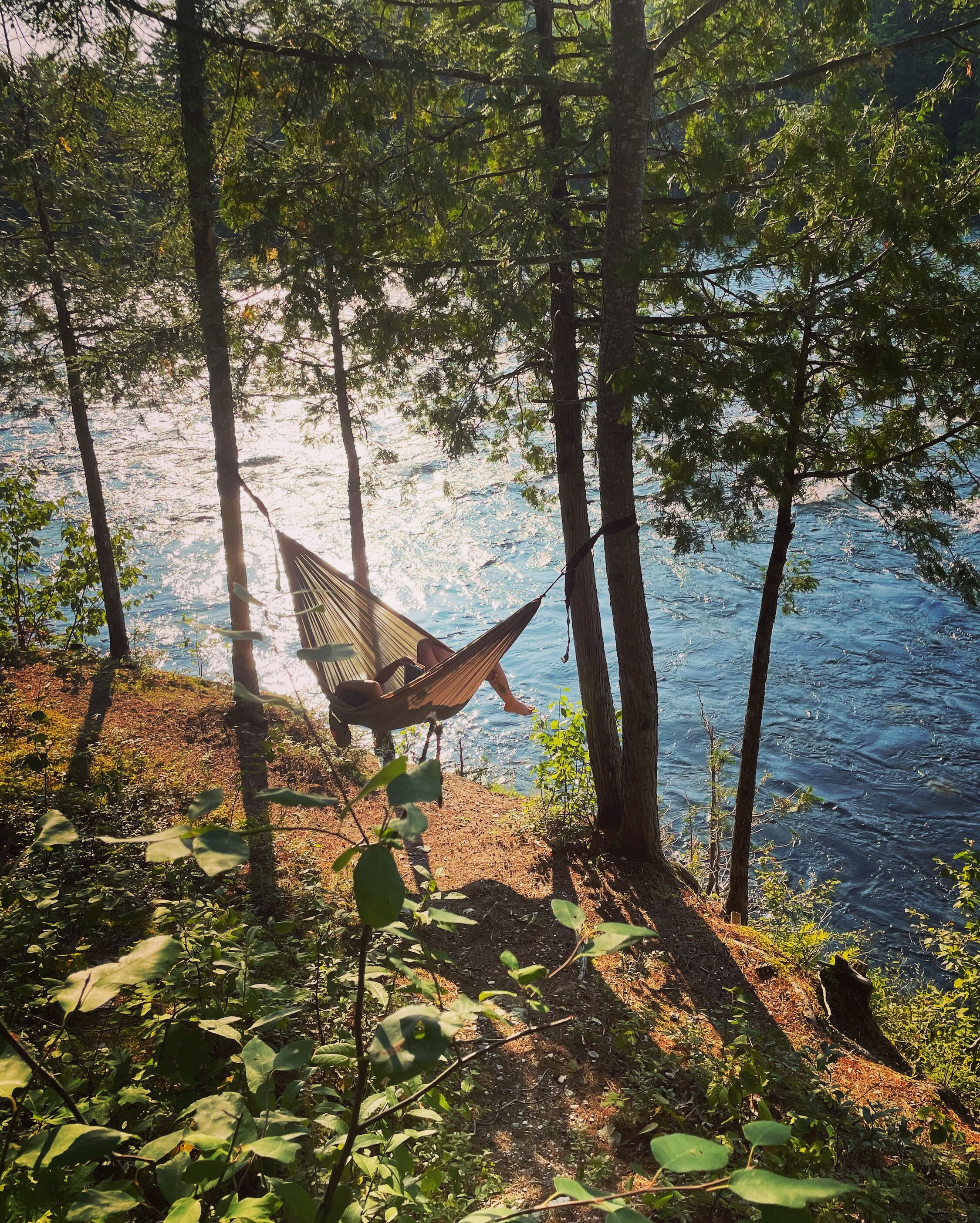 A hammock between trees by a body of water.