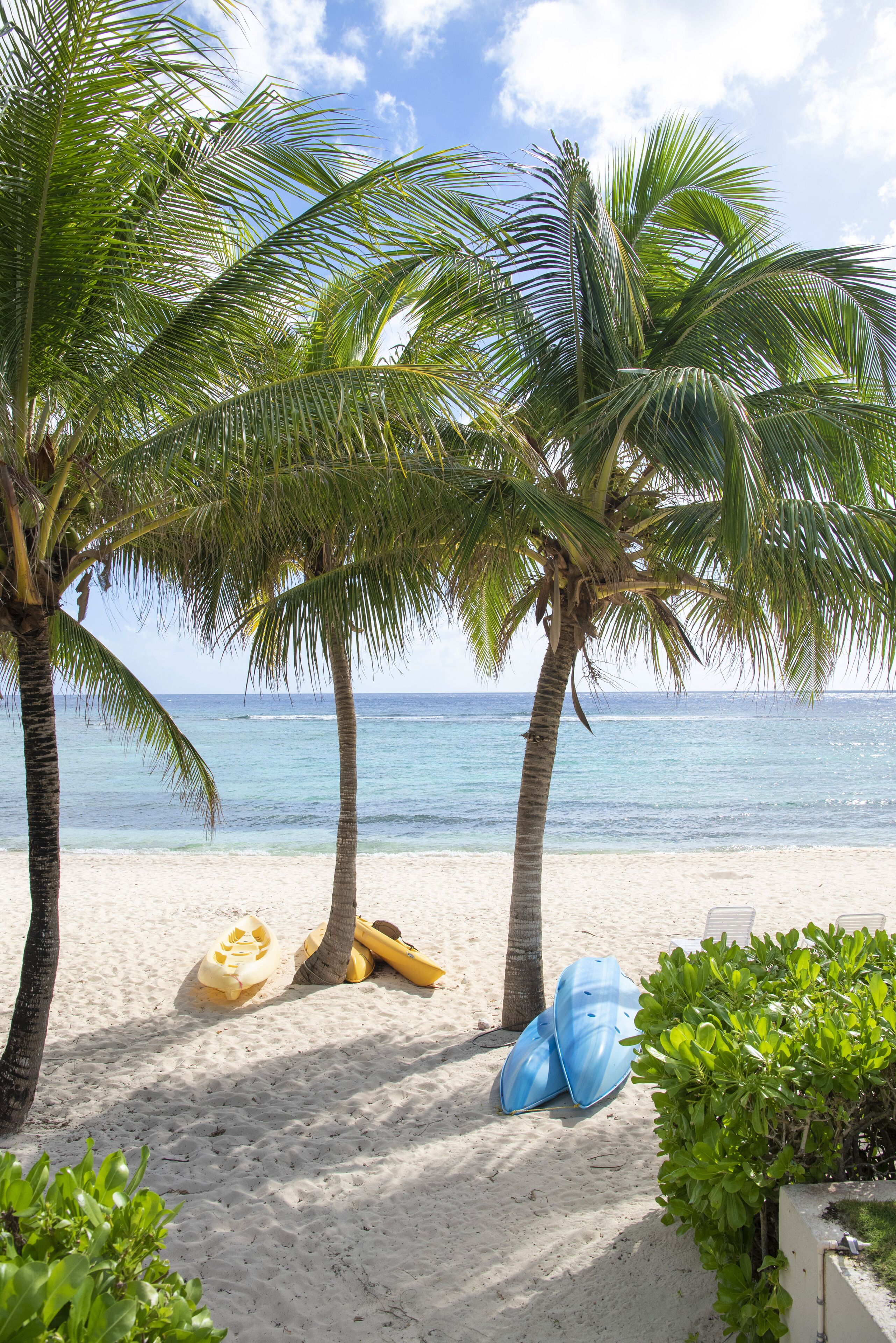 Plage, chaises longues, serviettes de plage
