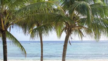 Plage, chaises longues, serviettes de plage