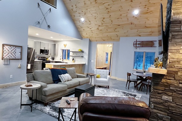 Smart TV, fireplace, DVD player, video library