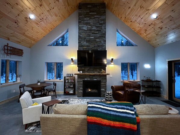 Smart TV, fireplace, DVD player, video library