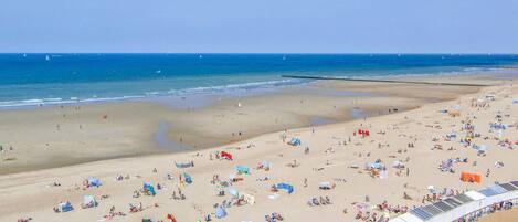 Beach nearby, fishing