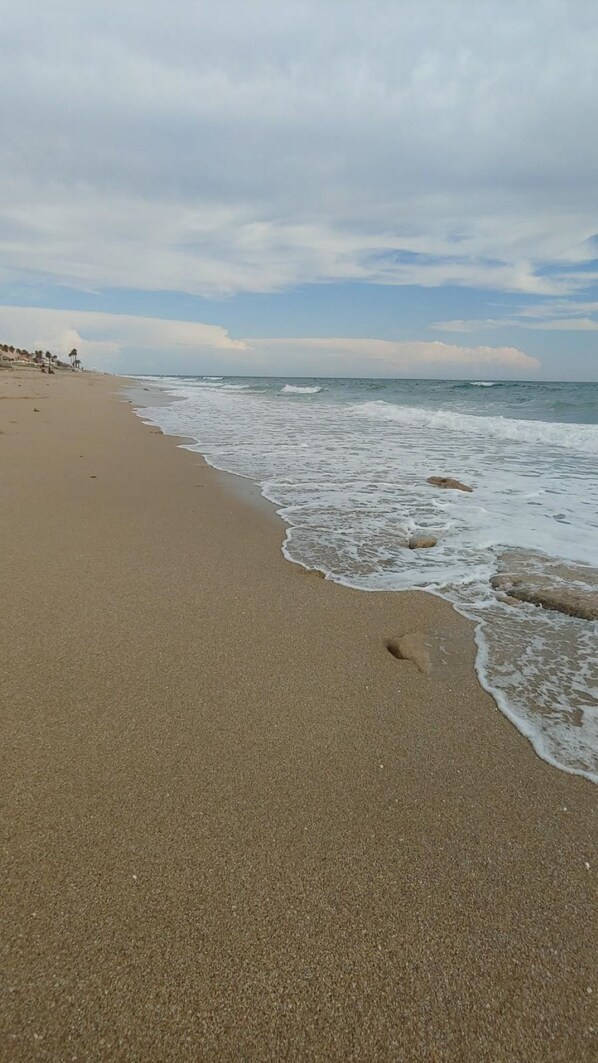 Playa en los alrededores, camastros y toallas de playa 